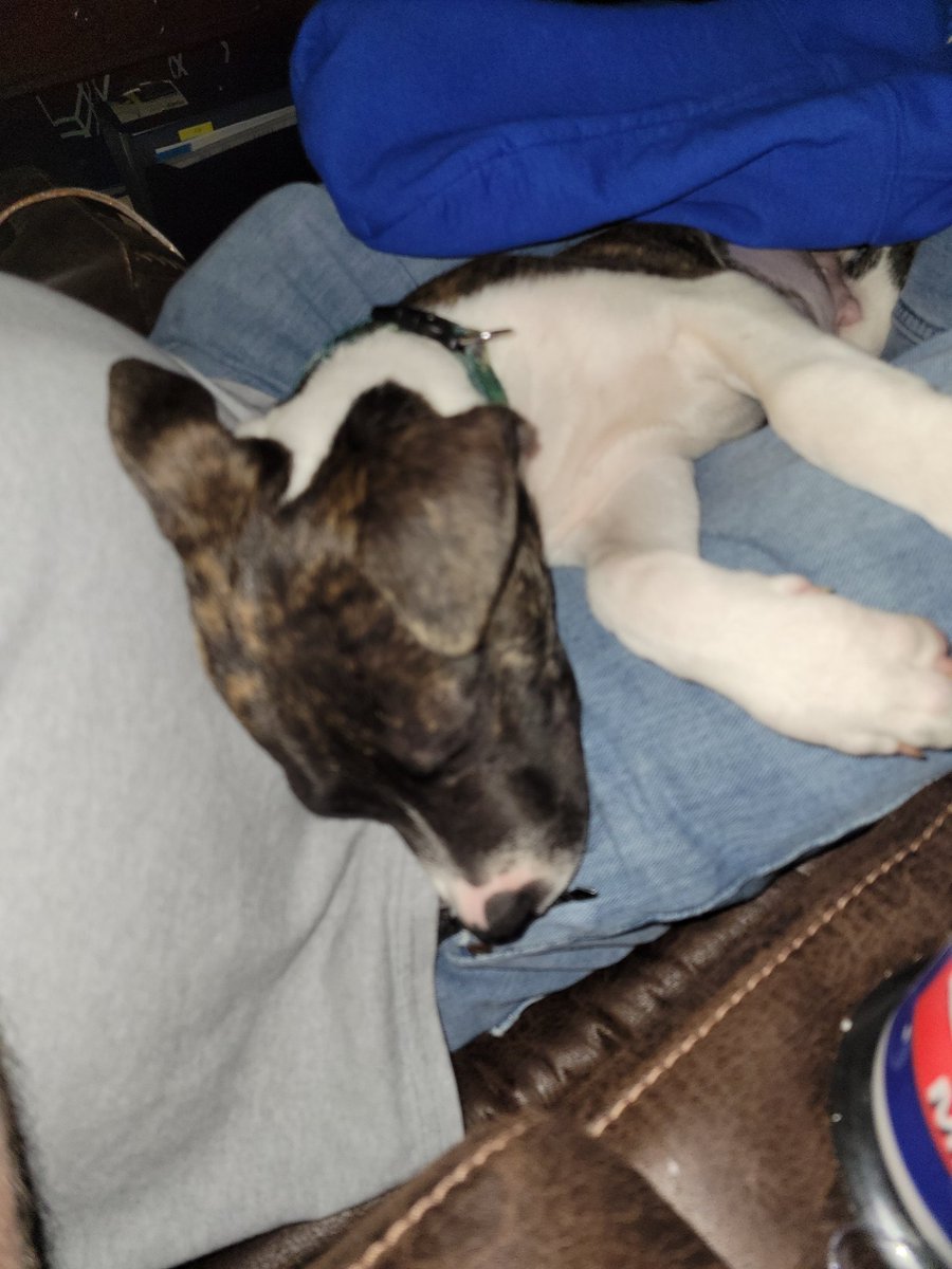 My newest family member.