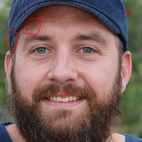 I get questions sometimes about how to identify GAN (AI-generated) faces. It's tricky, the AI is getting really good now! But here's a useful real world example. This captain of courage has used a GAN face for their troll account. I've circled in red some of the tells.
