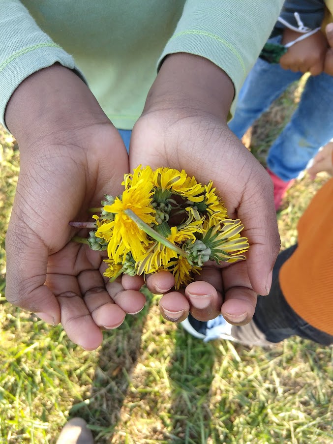 MccarterMs's tweet photo. I'm so 🦃thankful🦃 for the beautiful flowers that my first graders gave me at recess today #chdreambuilders #WEarethankfulCSD https://t.co/ZYWuWqCTLA