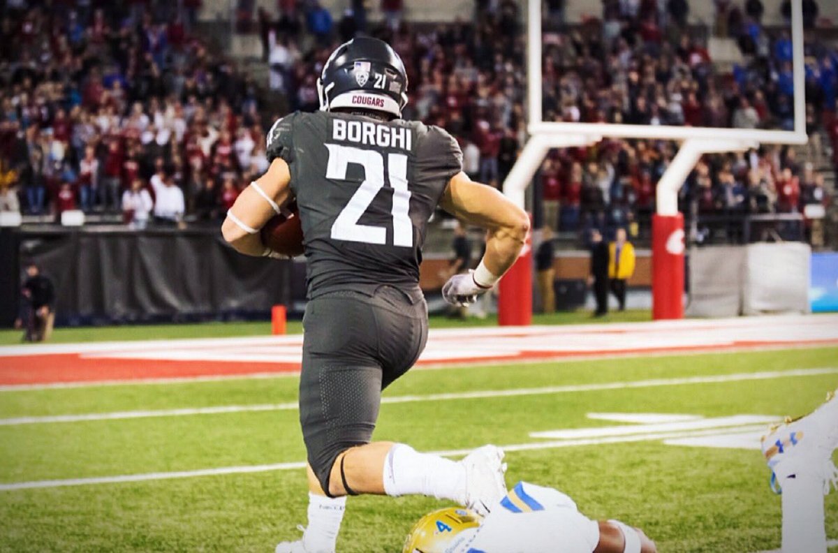 Max Borghi tweet media