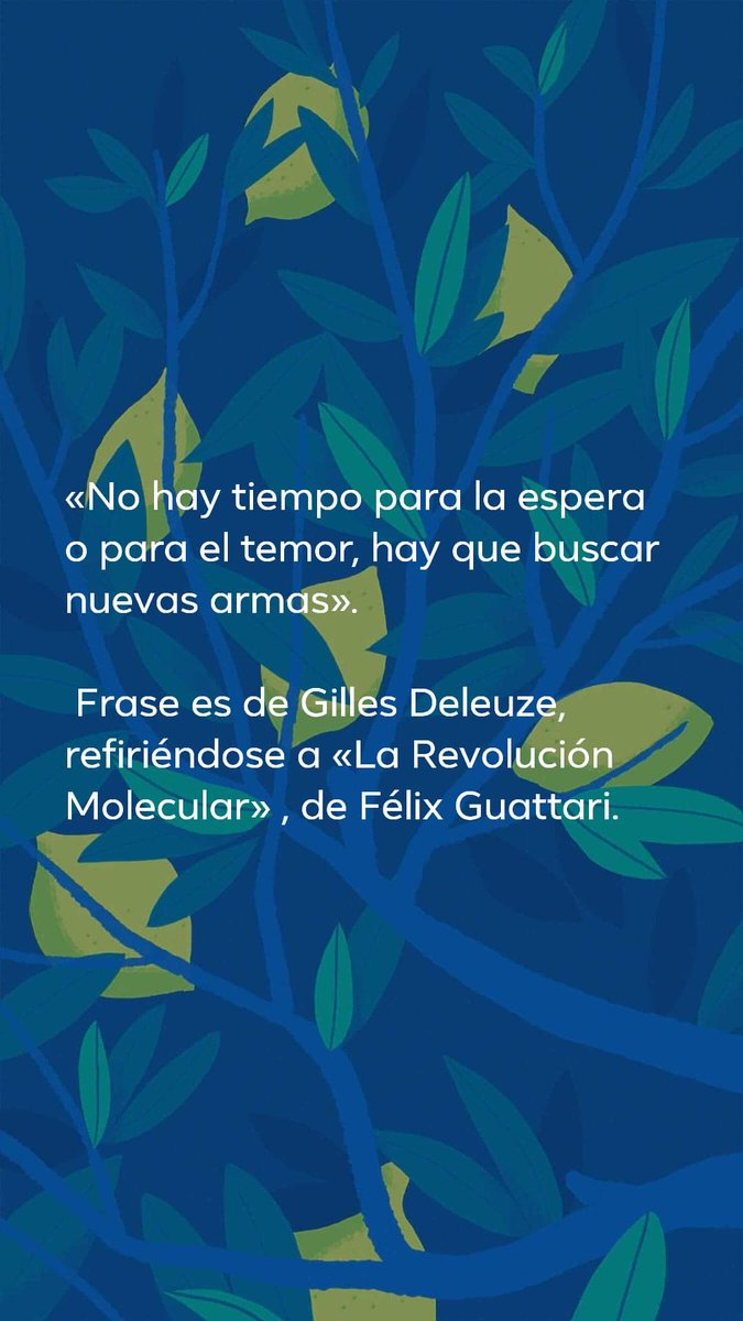 m_aberrantes's tweet photo. https://t.co/uNCvXgYVsh