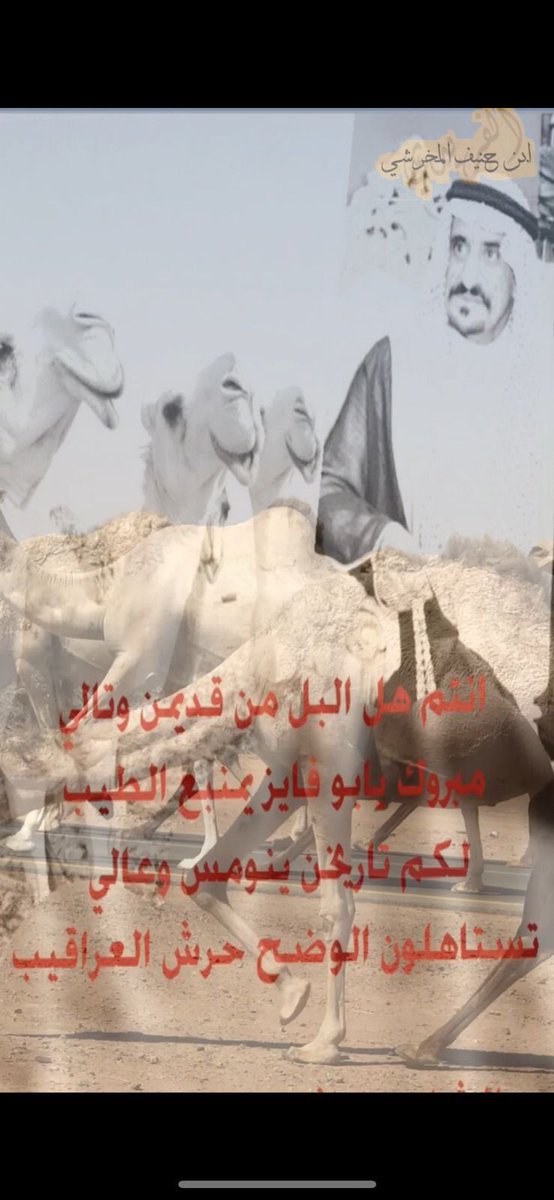 ملتقى المخارشة tweet media