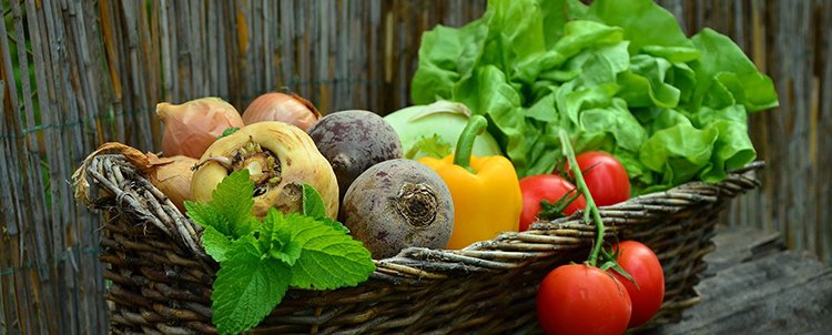 A new report, Student Food and Housing Insecurity, details results of a study undertaken to examine basic needs issues among students at <a href="/ASU/">Arizona State University</a>, <a href="/NAU/">NAU</a> and <a href="/uarizona/">University of Arizona</a>. Learn more here: azregents.edu/news-releases/…