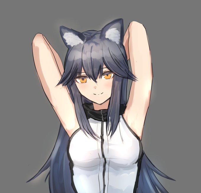 テキサスちゃん🐱🦊🐺 