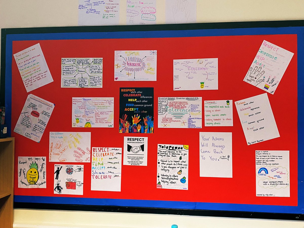 Absolutely wonderful display of posters about tolerance and respect in Mr Lefley’s classroom, well done 8.01 for your incredible work on SLD!