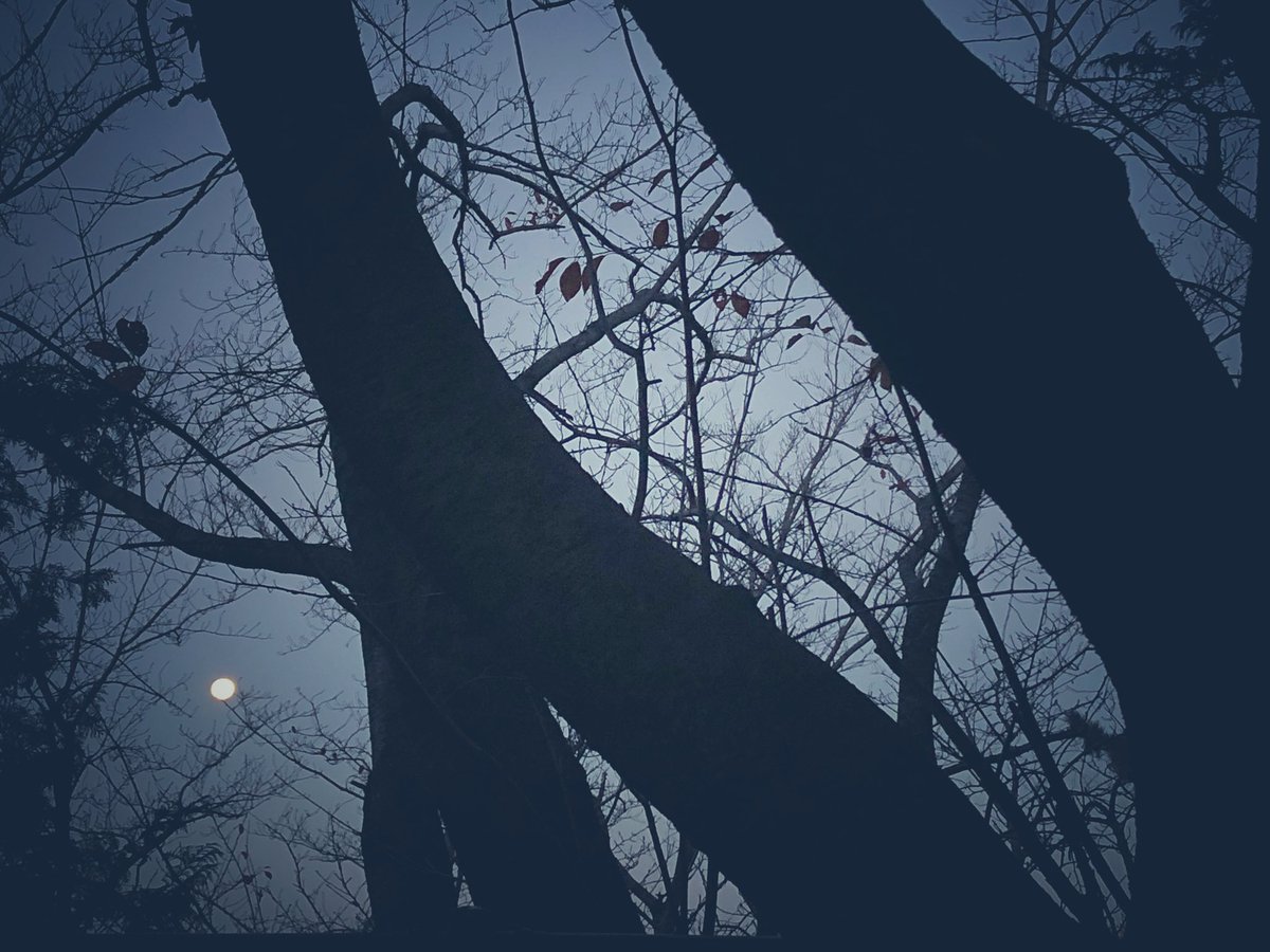 keino glass tweet media