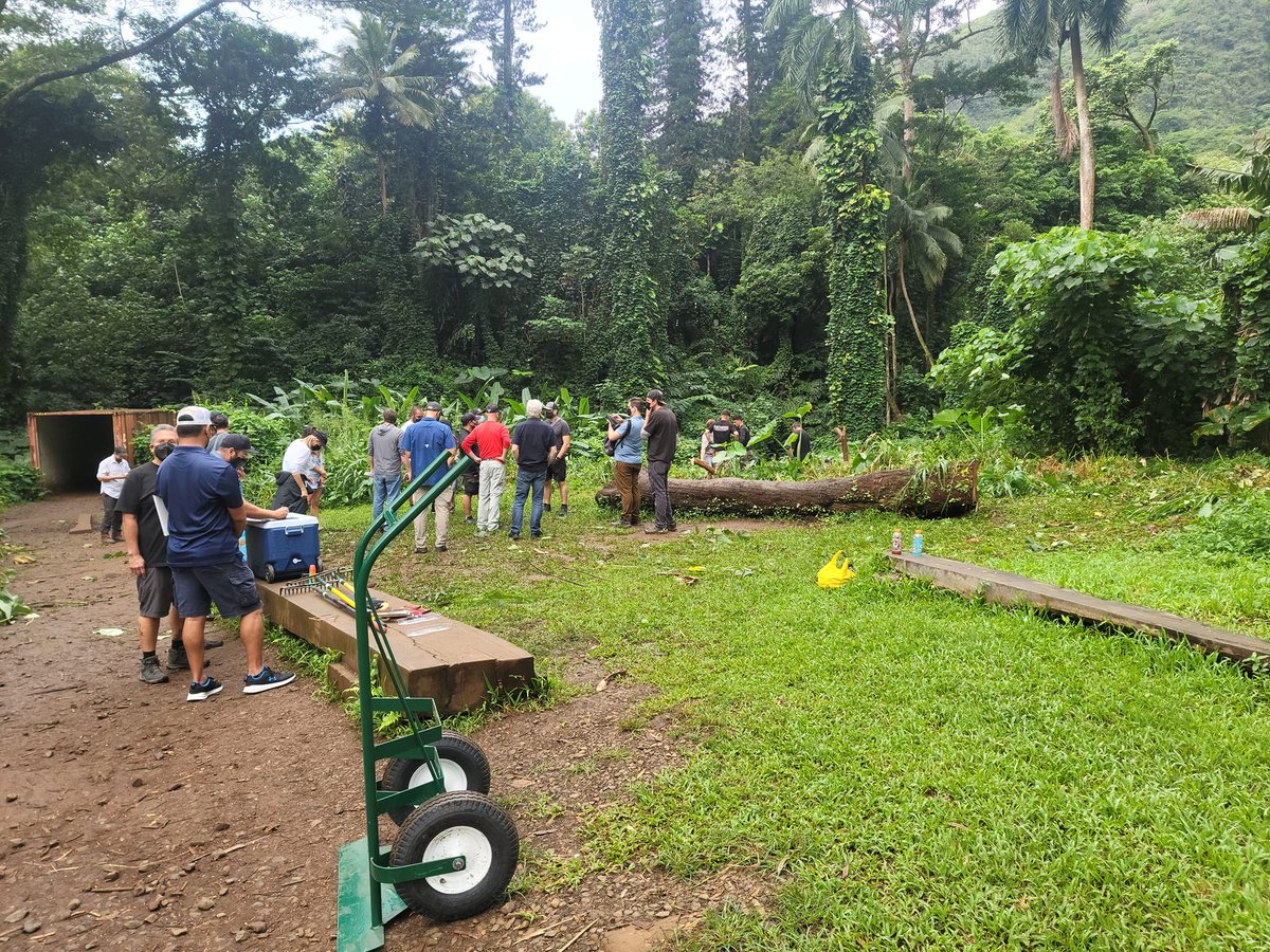 #RT <a href="/prodweek/">Production Weekly</a>: RT <a href="/reelnewshawaii/">Reel News Hawaii</a>: <a href="/_DCCBRASIL/">DC Brasil</a> <a href="/prodweek/">Production Weekly</a> Crews have been spotted prepping at Manoa Falls where they will be filming from 12/1 - 12/7. They will also spend one day filming at Halona Cove.