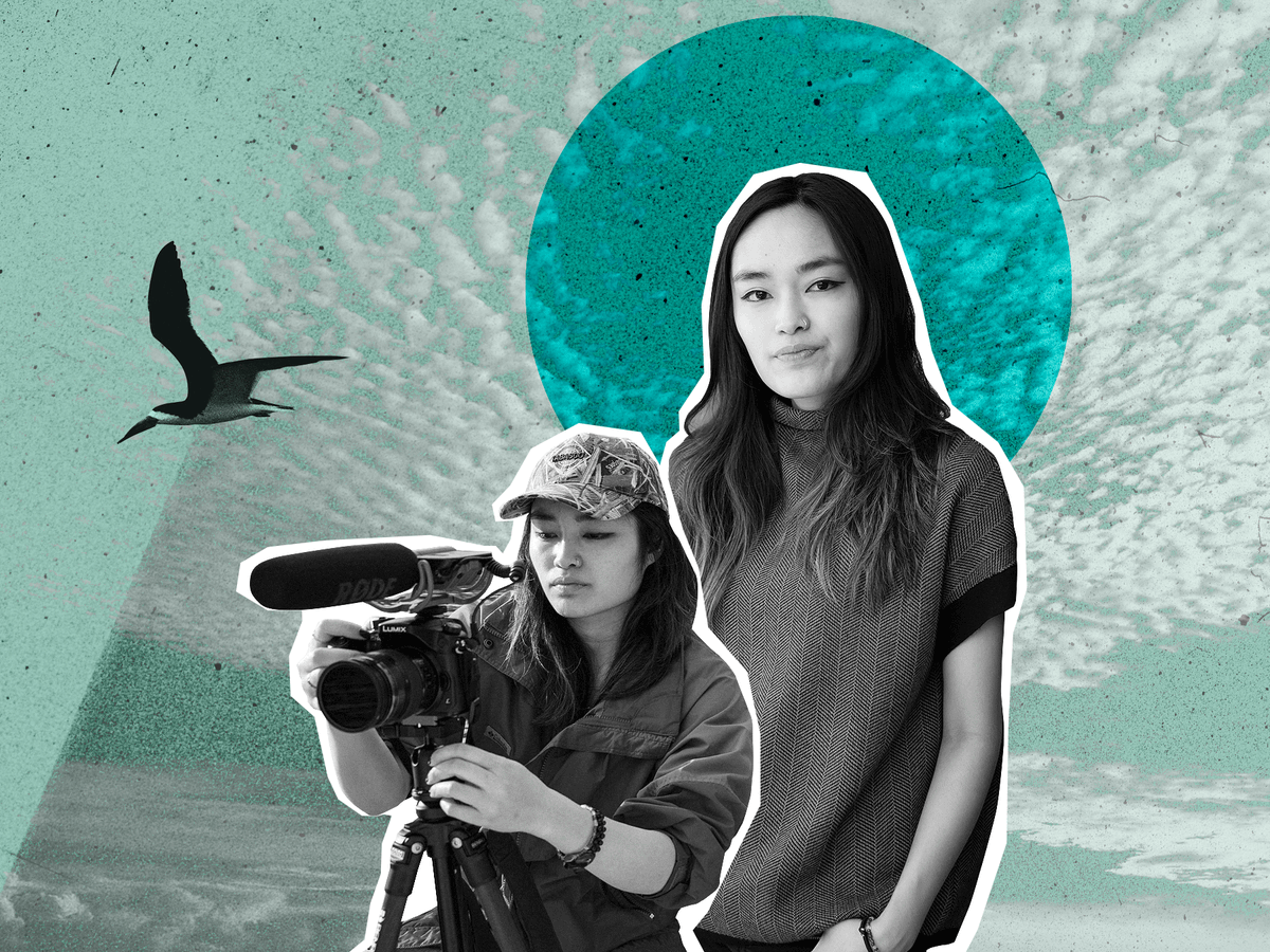 Wild Media Journal tweet media