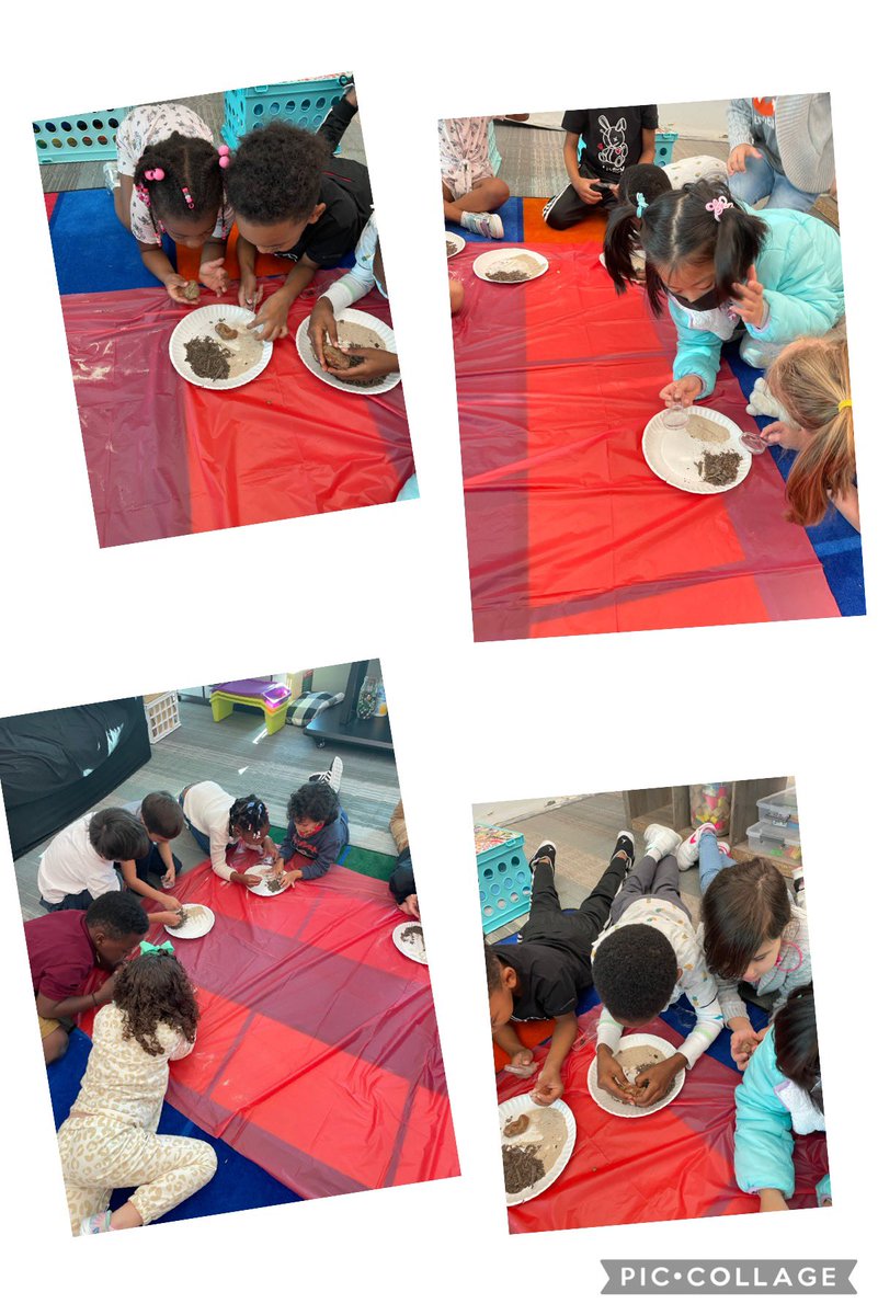 TXCounselor22's tweet photo. Do you know what a Pedologist does?These kinder Cubs sure do! They had a blast exploring different types of soil.  #kinderrocks #LikeAFox #FoxKISD #KleinISD https://t.co/3BFWN4TM4d