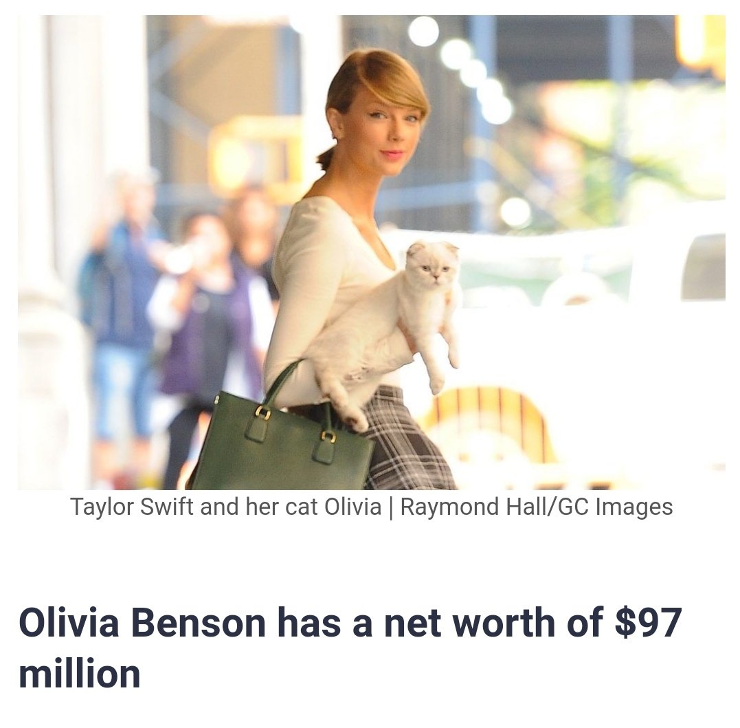 sebspole11's tweet photo. taylor swift's cat is worth more than horner https://t.co/FOioChhPLi