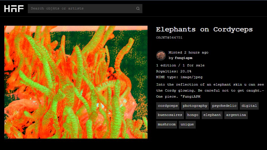 FungiAPM's tweet photo. New Drop ✨
#1/1 Ed.
Elephants on Cordyceps
Be careful not to get caught.
[1.9Tz]
https://t.co/NdnUKFBxYs
@hicetnuncarg @hicetnunc2000 @HIC_AF 

#NFTS #NFTartist #NFTart #tezosnfts #tezosart #CleanNFT #hicetnunc #nftgiveaway #artistontwitter #nftgiveaway #CHEN #LaRuedaDelTiempo https://t.co/lRiFEuLgCb