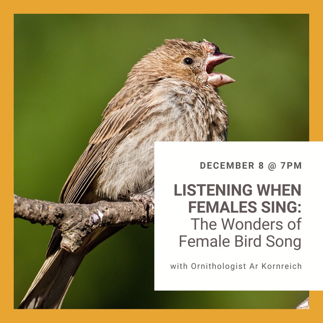 Join us Dec. 8, at 7pm for our "Backyard Wildlife: Listening When Females Sing – The Wonders of Female Bird Song" virtual event as we explore the functions, contexts, and background of female birdsong from across the world.
You can register here: teatown.org/events/byw-fem…