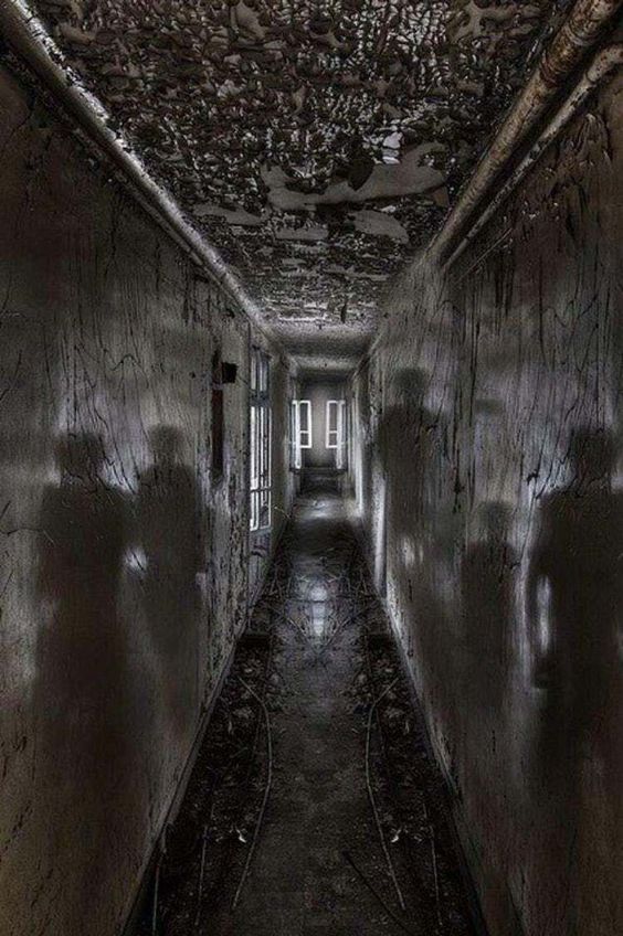 amhaunted's tweet photo. Nowhere to go https://t.co/d8uOrqjP3f