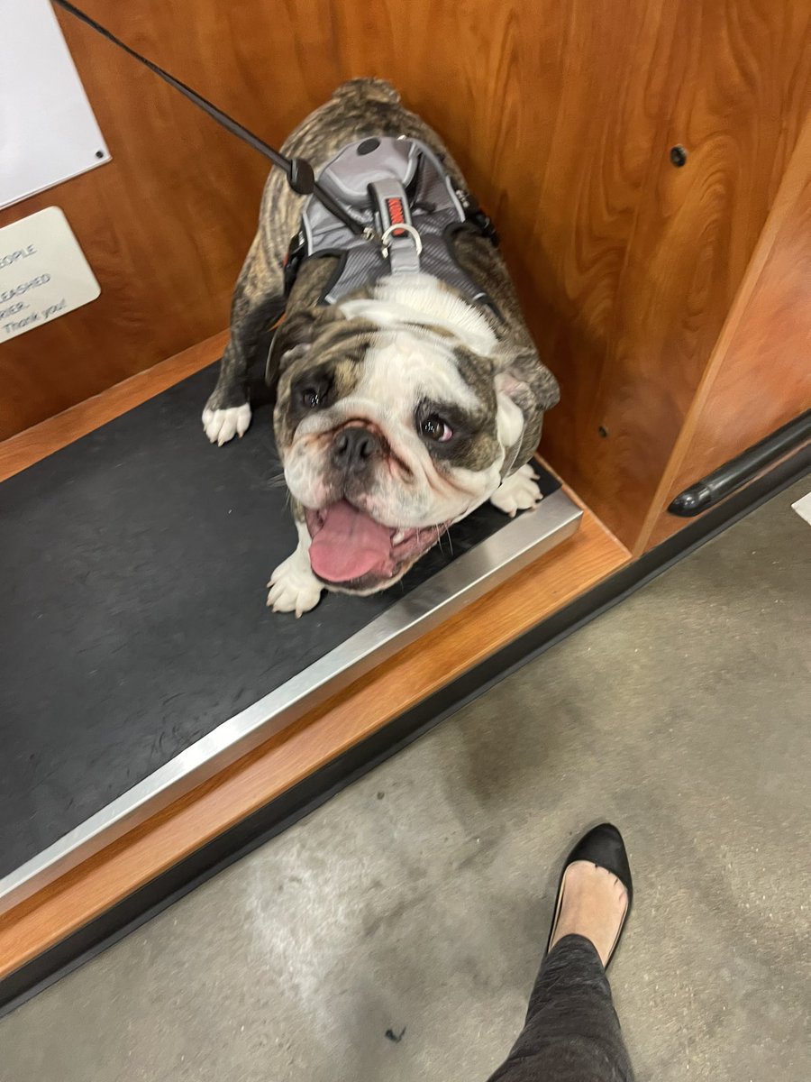 Ashur, Athens, Auggie @ OTRB 🌈 Manny tweet media