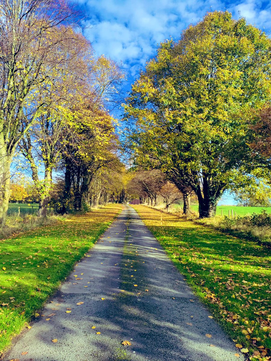 For 265 years, people having been making the journey down this beautiful driveway to get to Trafford Hall.
Come stay with us and make this beautiful journey for yourself. 
#yha #yhachester #yhachestertraffordhall #hostellinginternational #yhalivemore #autumn #nature