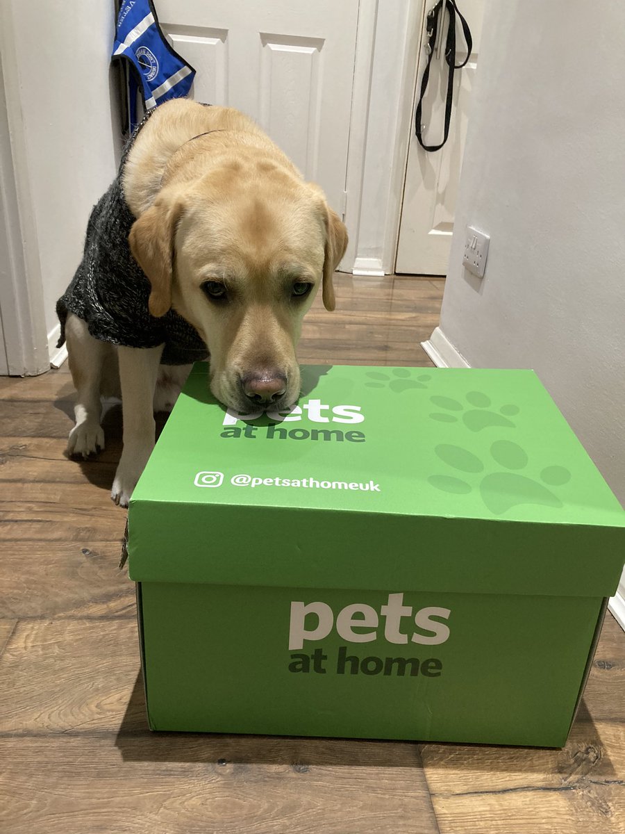 AssistanceZiggy's tweet image. Soooo I got this box from the lovely humans @PetsatHome but apparently I can’t open it unless I get 1000 retweets