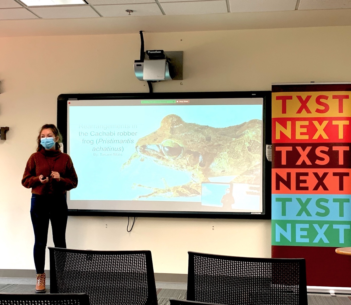 texcroc's tweet image. We are proud of #RDZLab undergrad researcher Tori, she did an amazing job on her first ever 🐸scientific presentation🐸 at the @TXSTHonors Research Forum. Also worth mentioning, her first herp capture was a Texas Indigo 🐍. Off to a pretty good start! #txst #LatinSTEM #LatinxPI