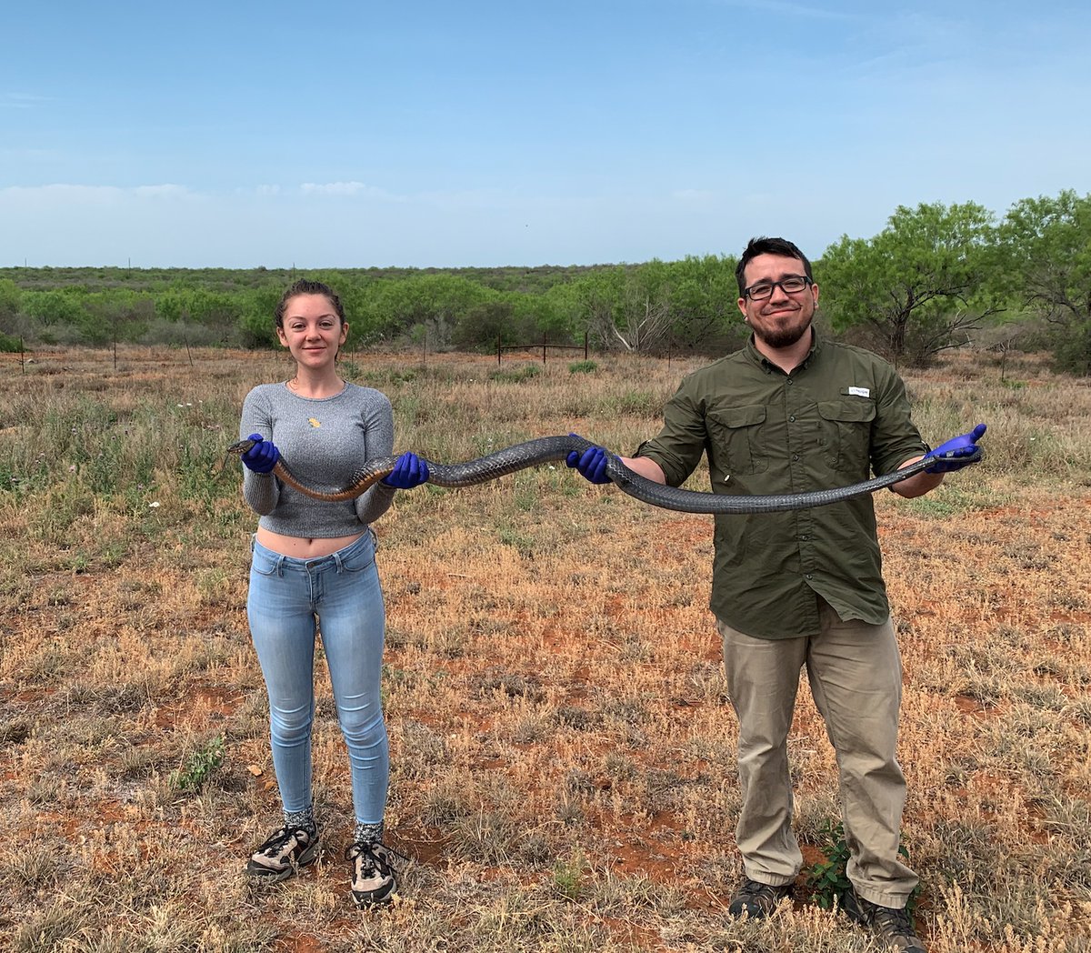texcroc's tweet image. We are proud of #RDZLab undergrad researcher Tori, she did an amazing job on her first ever 🐸scientific presentation🐸 at the @TXSTHonors Research Forum. Also worth mentioning, her first herp capture was a Texas Indigo 🐍. Off to a pretty good start! #txst #LatinSTEM #LatinxPI