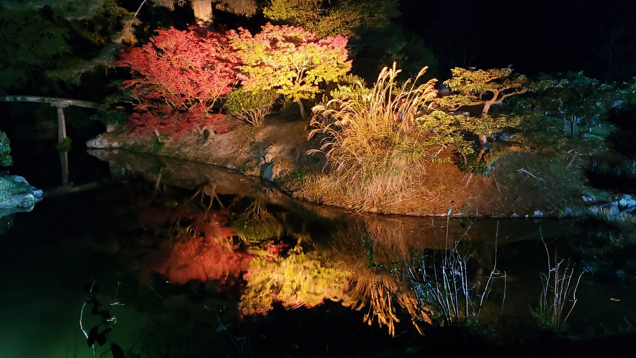 ぴろぴっぴ 昨日のお出かけ 高松市 栗林公園 にて 秋のライトアップです 昨日から始まったので 早速見に行って来ました 初日だったせいか そこまでお客さんも多くなく ゆっくり見て癒されました 香川県 栗林公園 紅葉 ライトアップ