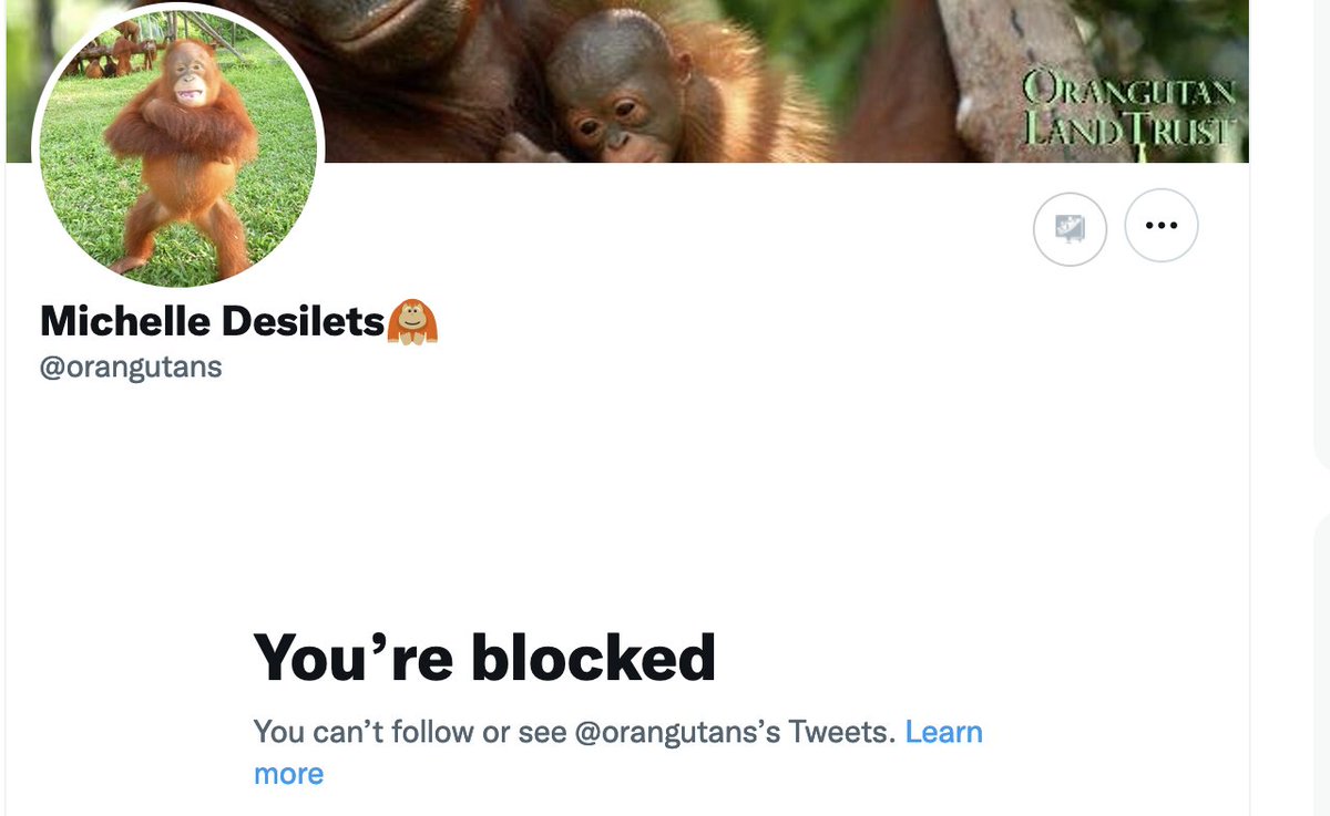 <a href="/orangutans/">Michelle Desilets🦧 (Bluesky: @savetheorangutan)</a> <a href="/SashaMyBird/">Asha V</a> @palmoiltruther <a href="/Justice4Abo/">Shite Buster</a> @knowmiun <a href="/AgainstHunting/">For Love of Foxes</a> <a href="/BuleMewek/">Bule Mewek</a> <a href="/lik3icar3/">Like I Care</a> @ComradeGuvna <a href="/ViaVallenia/">Via Vallen</a> <a href="/_Pehicc/">PehiccⓋ</a> <a href="/LiMayfun/">Li May-fun</a> @ExposeLies2 <a href="/weaniejeanie53/">LadyFluffyOrca #FBPE#Boycottpalmoil 🌻🇪🇭🇪🇺🍉</a> <a href="/HypocrisyKiller/">Hypocrite Buster</a> <a href="/coolrunning2009/">ken cha_OzVeteransVote</a> <a href="/PalmSawit/">Petani Sawit</a> <a href="/maruligultom/">Maruli Gultom</a> <a href="/brut3c0ck/">BruteCock</a> <a href="/FMNglobal/">FMN</a> <a href="/NajisKeji/">Najis Keji</a> <a href="/Kenn_FFCI/">Food Forensics and Fraud-FFCI</a> <a href="/animal_front/">support the animal liberation front</a> <a href="/RussellMoxham/">Russell Moxham 🌻</a> <a href="/VanessaFiji/">VanessaFiji 😷🇪🇺 #BanPalmOil #StillWithCorbyn</a> <a href="/gteasts/">Georgina Siri 🐨🦘</a> <a href="/griffjane/">Jane Griffiths</a> <a href="/ScreamNevermore/">Britannia 'Gooner' Evermore</a> <a href="/VanillaismD/">Vanillaism</a> @PMWatsonOBE <a href="/CadburyUK/">Cadbury UK</a> <a href="/ChunhuaMs/">🌊 春华 🌎</a> <a href="/DrBirute/">Biruté Mary Galdikas</a> <a href="/Lizmont007/">Elizabeth Montgomery</a> <a href="/moulouanne/">Sara Eloquin Ⓥ VeganLandMovement💚🌱𓃟 Pigoneer</a> <a href="/AniroC_2/">Loyal 🍃🌸🍃</a> <a href="/duncanmacmartin/">Dunkeroo⏳🇵🇸🏴󠁧󠁢󠁳󠁣󠁴󠁿🇾🇪 🇮🇷🇷🇺🇨🇳</a> <a href="/Simaactor/">Sima.Rostami</a> <a href="/nicolasnicola22/">Nicholas Nicola</a> <a href="/Jeanniecaton23/">JeannieC23 ❤🧡💛💚💙💜🐻🐼🐯</a> <a href="/JanetBruce/">Janet Bruce</a> @redmayne_robert <a href="/ukmav/">Arthur King 🕊 🐾🖤(reduce, reuse, rewild)</a> <a href="/thorntonschocs/">Thorntons</a> <a href="/waitrose/">Waitrose & Partners</a> <a href="/NairnsOatcakes/">Nairn's Oatcakes</a> <a href="/Tesco/">Tesco</a> <a href="/gikiearth/">Giki 💚 Think Carbon</a> <a href="/orangulandtrust/">Orangutan Land Trust🦧 (also on Bluesky)</a> <a href="/RedOrangutangen/">Save the Orangutan</a> So this is what happens when you ask 'orangutan rescue organisations' awkward questions about accepting money from #corruptpalmoil