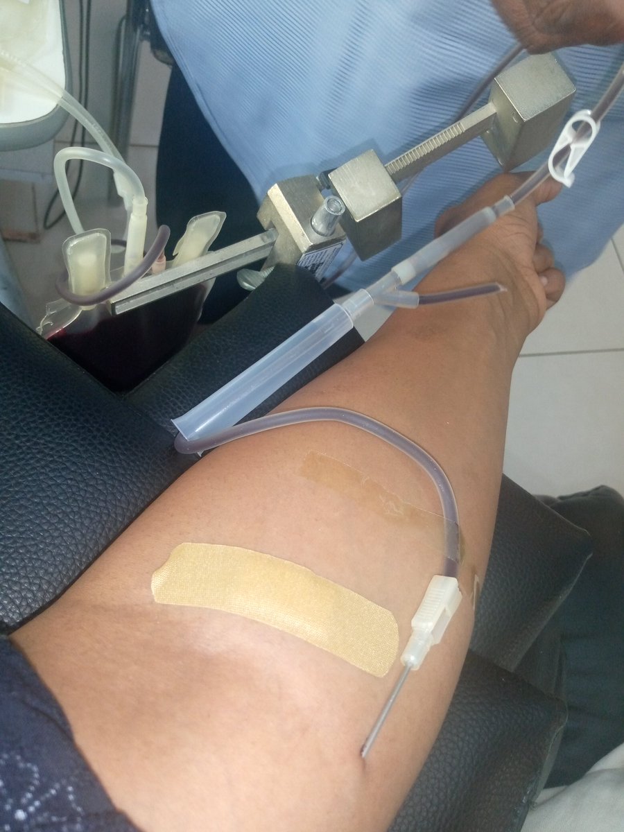 TariChef's tweet photo. On the 3rd attempt, when she was starting to give up on being a donor.. Pint rabva rabvuma kuzara. 🥂 to saving lives, a pint at a time💖
@NBSZbloodbank 
#Zimbabwe 
#SaveLives https://t.co/sTFOq3fcGG