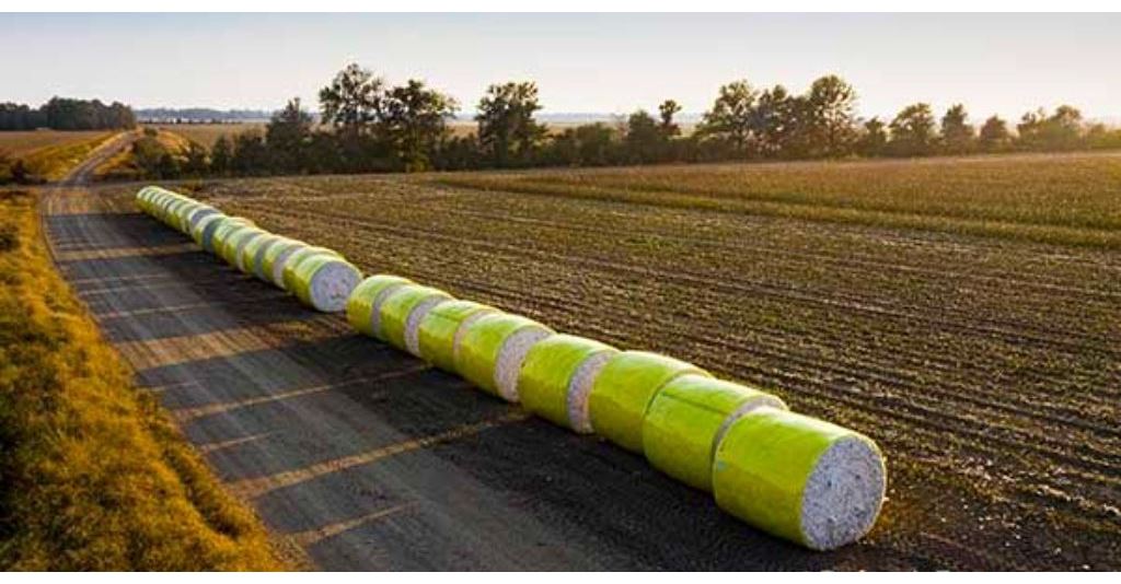 DTN Cotton Close: Market Pumps Higher rlm.ag/2e4TBE