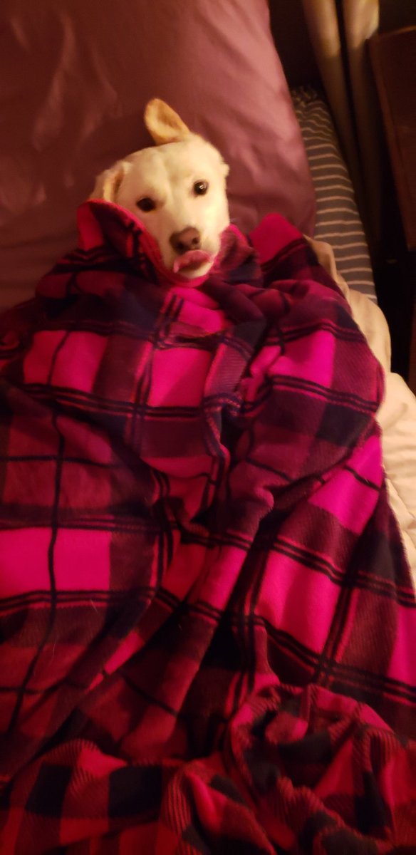 Superworld has to drop both gigs this weekend bc two of us are walking bioweapons. Come thru for merch and to see all the other bands, the rest of us will still be hanging out so come through