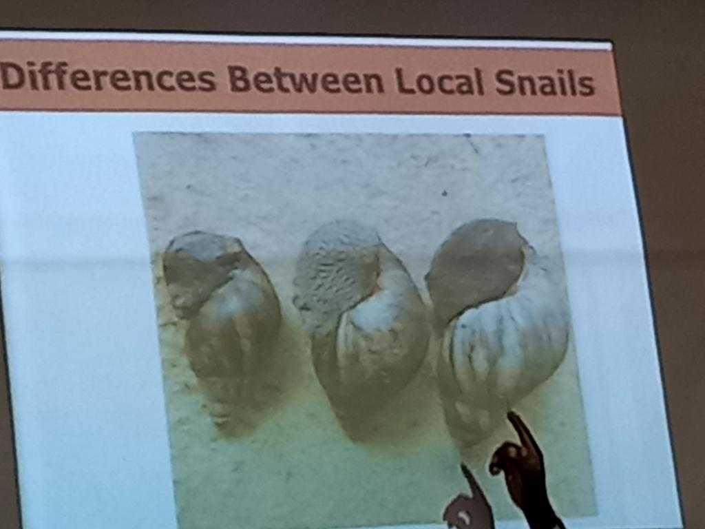 This week,  I was privileged to be part of the #trainer of #trainers #workshop on #sustainable #forestry, #tree #nursery and #snail #farming at <a href="/CsirForig/">csirforig</a> organized by the #Ghana #Sweden #Chamber of #Commerce, #GreenEconomy Project with <a href="/YmcaGhana/">Ghana YMCA</a>  &amp; <a href="/kitaghana1/">Kumasi Institute of Tropical Agriculture KITA</a> &amp;  <a href="/IseesGhana/">Institute for Sustainable Energy&Env'tal Solutions</a>