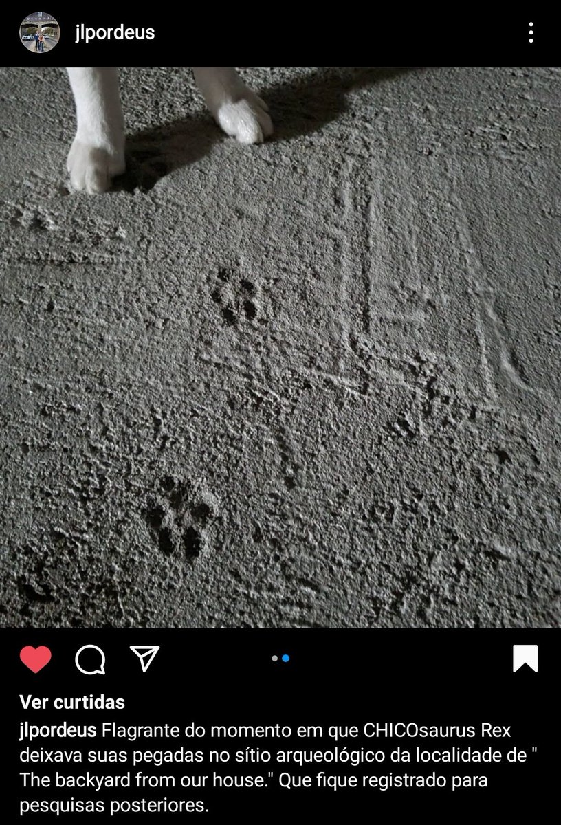 OpsIdiota's tweet photo. eu não aguento o povo daqui de casa KKKKKKKKKKKKKKK https://t.co/4SQZRoCDKB