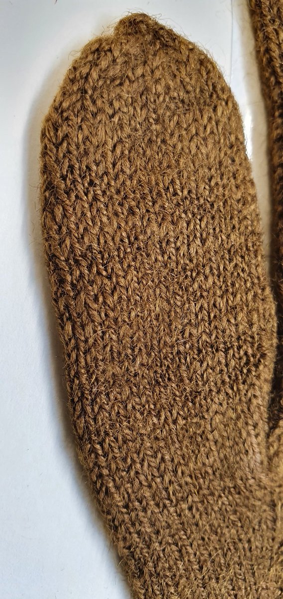 PaoloViscardi's tweet image. Oops, missed day 18 of #Museum30, which was #textile.
My go-to has to be the @DublinDeadZoo cloth-of-gold gloves. An unusual and rare textile made from the beard of the Pinna mussel.