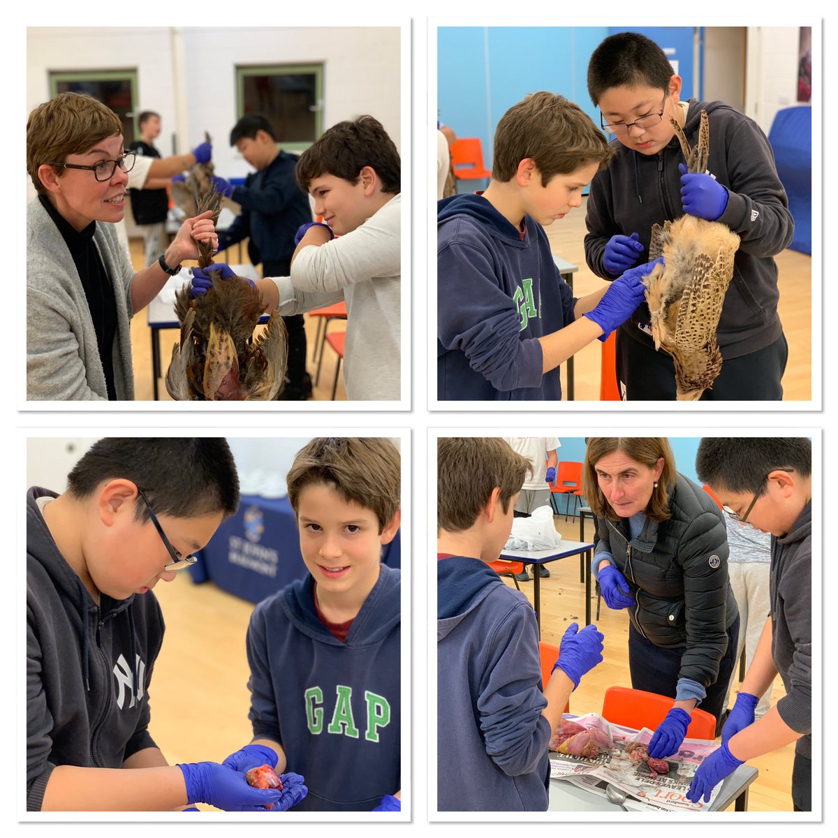SJBheadteacher's tweet photo. We enjoyed a valuable evening with the boarders tonight learning about the anatomy of a pheasant &amp; the skills to pluck &amp; gut the birds with care whilst recognising internal organs. The boys showed both respect &amp; a genuine fascination. Thank you Mr &amp; Mrs Powell-Harper @SJBWindsor https://t.co/hGLWtGpa8w
