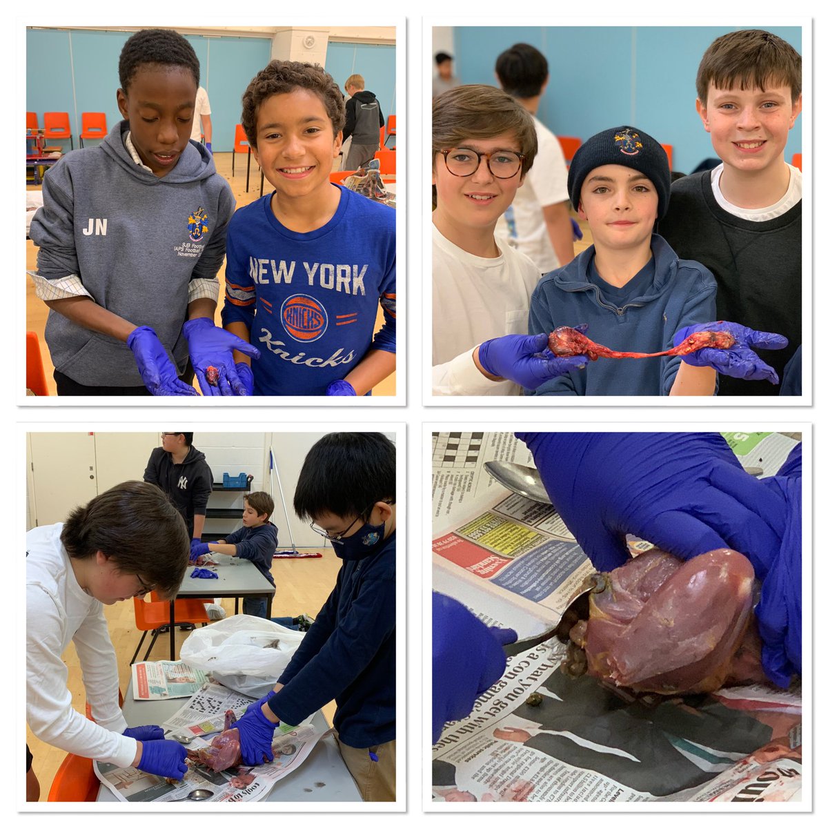 SJBheadteacher's tweet photo. We enjoyed a valuable evening with the boarders tonight learning about the anatomy of a pheasant &amp; the skills to pluck &amp; gut the birds with care whilst recognising internal organs. The boys showed both respect &amp; a genuine fascination. Thank you Mr &amp; Mrs Powell-Harper @SJBWindsor https://t.co/hGLWtGpa8w