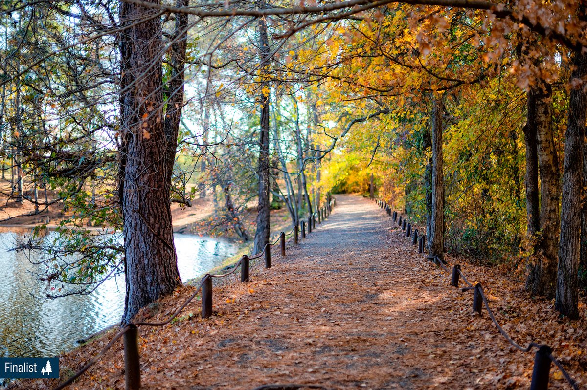 Texas Forest Trail (@etxtraveler) on Twitter photo Continuing with the finalists from the โFall/Winter In ETXโ category. Finalist #2 is a photo of the walkway along Synergy Park in Kilgore, Texas. Congratulations to Nancy Pasel! <a href="/visitkilgore/">Visit Kilgore</a>
๐ธ by Nancy Pasel Continuing with the finalists from the โFall/Winter In ETXโ category. Finalist #2 is a photo of the walkway along Synergy Park in Kilgore, Texas. Congratulations to Nancy Pasel! <a href="/visitkilgore/">Visit Kilgore</a>
๐ธ by Nancy Pasel