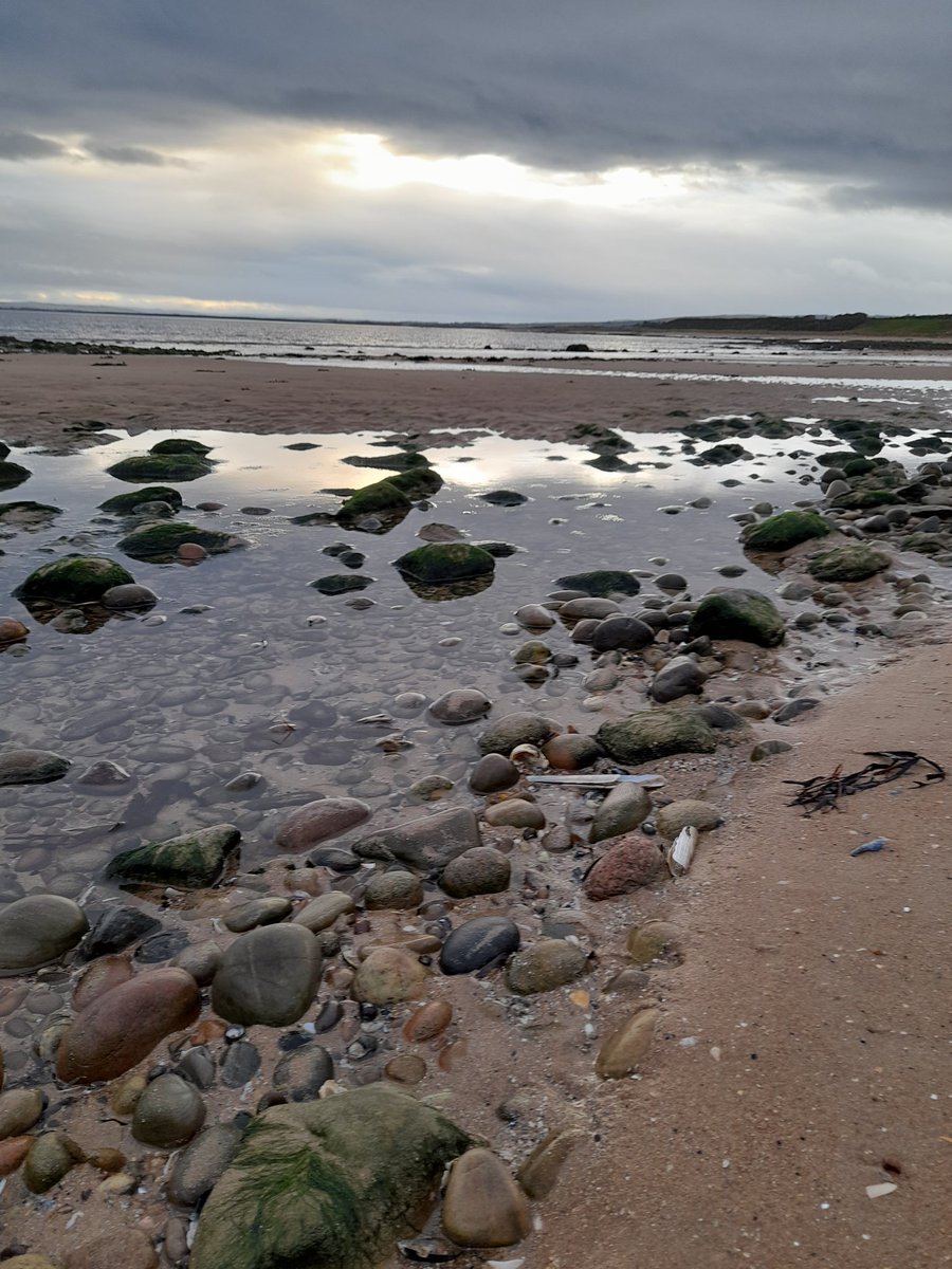 AndieMacrae's tweet photo. Busy on #Embobeach today,#VisitScotland https://t.co/5zx8muhSyy