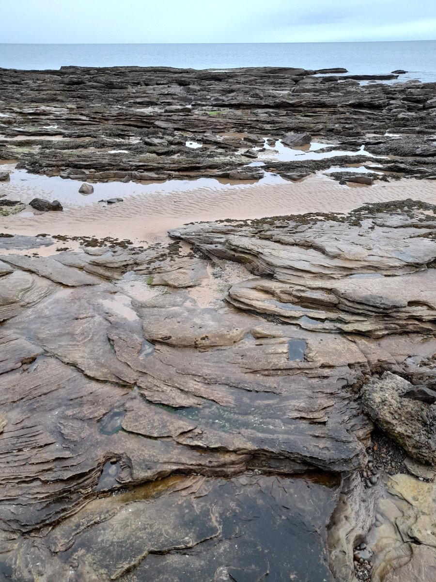 AndieMacrae's tweet photo. Busy on #Embobeach today,#VisitScotland https://t.co/5zx8muhSyy