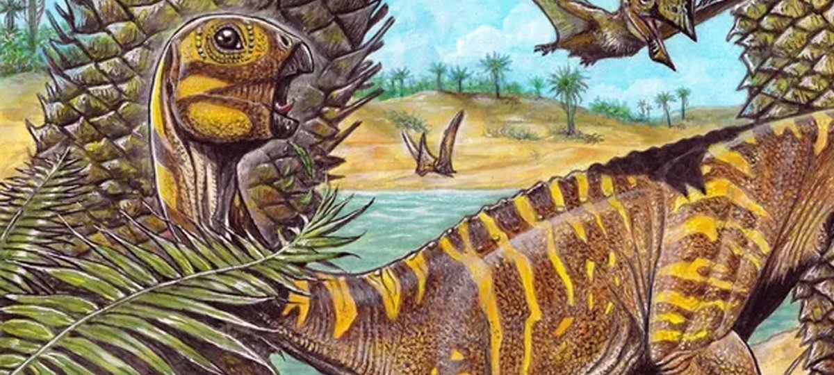RobesXavier's tweet photo. O #Brasil  é tão louco que até o #dinosaurs que morava aqui não tinha dente. https://t.co/EiVgHubgel