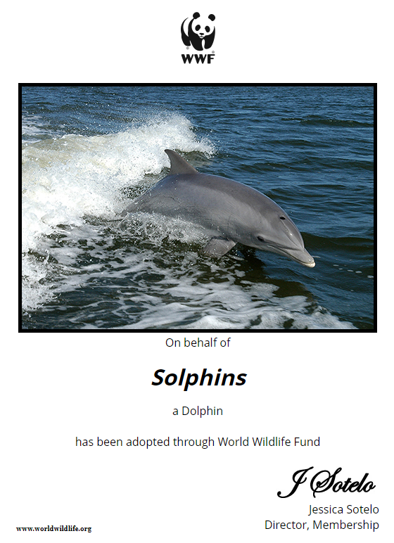 Solphins_'s tweet photo. We have adopted our first dolphin with @WWF! This is hopefully the first of many as we try to make big strides in ocean conservancy 🎉
#NFTs #NFTProject #ADOPTION #SolanaNFT https://t.co/O6VjKu5y8c