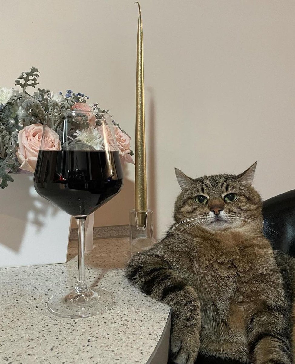 HomesickCandles's tweet photo. POV: cancelling all plans to have a date night with yourself π· #currentlyburning: Date Night π― https://t.co/58GELvydD9