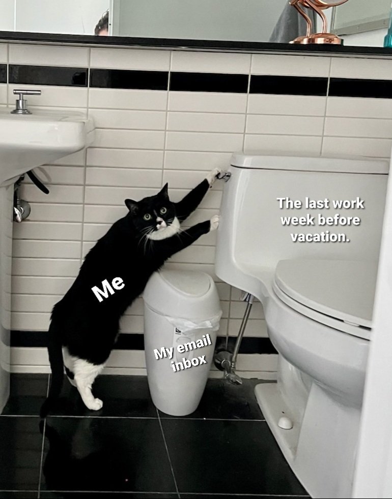 My cat finally did something meme-worthy.
