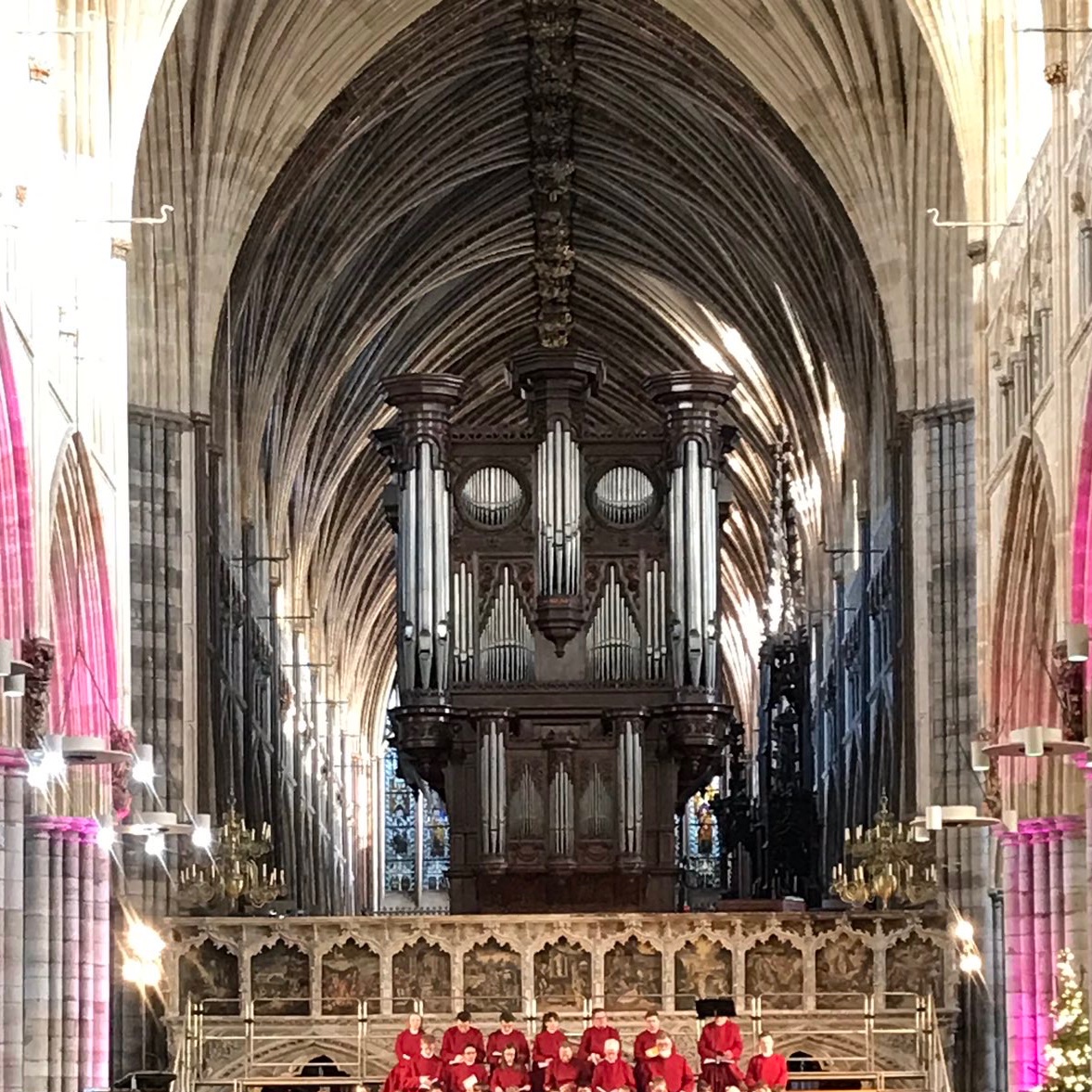 'Power from the Hedgerows' is being published in order to raise money for the music in Exeter Cathedral. At an annual cost of £360,000 this needs all the support it can get.
