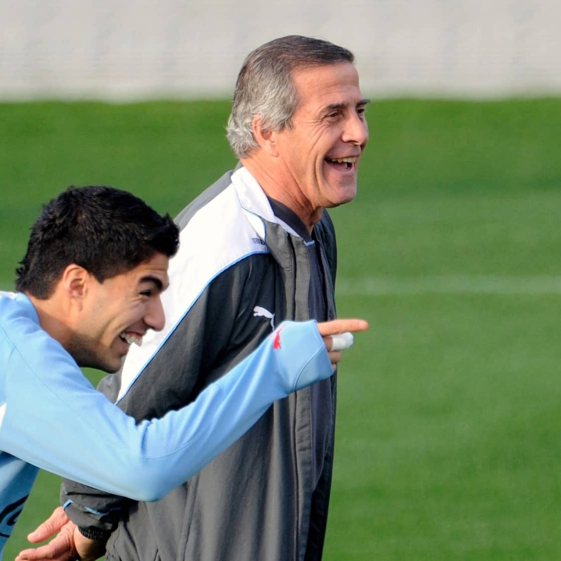 Fabri Piaggio tweet media