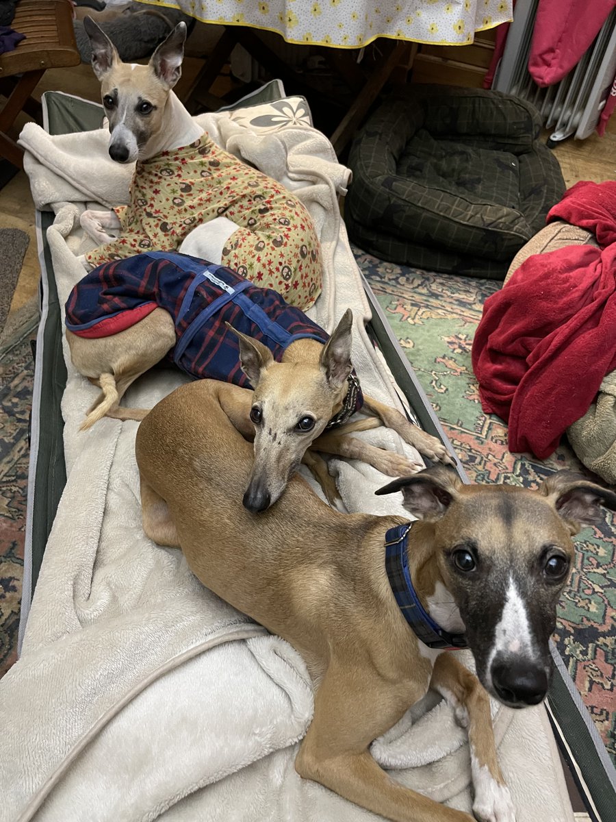 Kai 🌈& Co tweet media