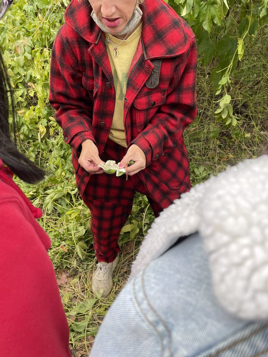 jennygreen79's tweet photo. Today our @sftcyclones exploration orbit took us to @KCFarmSchool to learn about urban farming and to learn about edibles in nature. Thank you @OlatheSubaru and @ArvestBank for helping make this possible. #ProudtobeSFT #Explorationday https://t.co/UnabuEyWSB