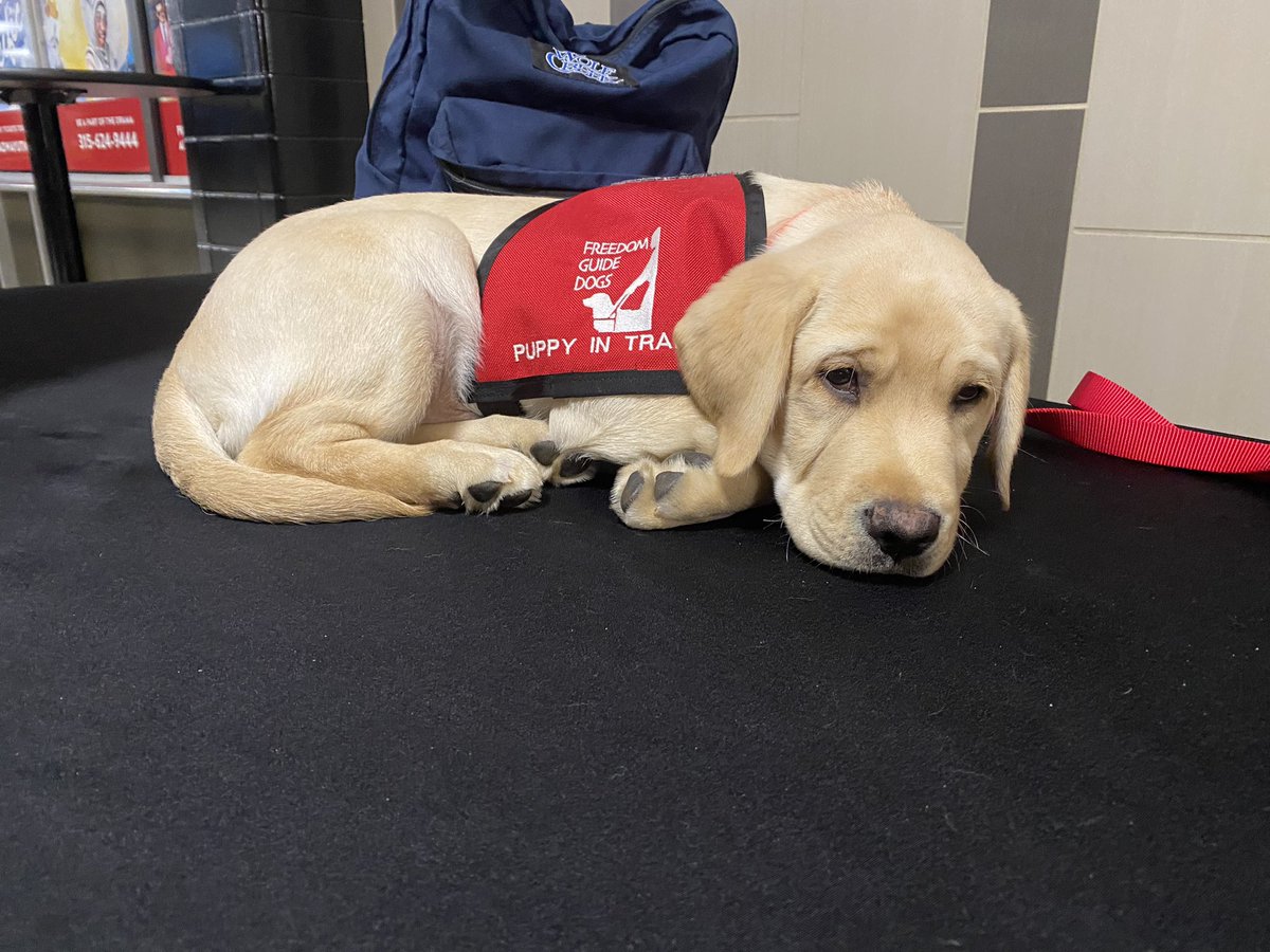 When you get here please be as quiet as possible, Comet is napping until 6:59 😴