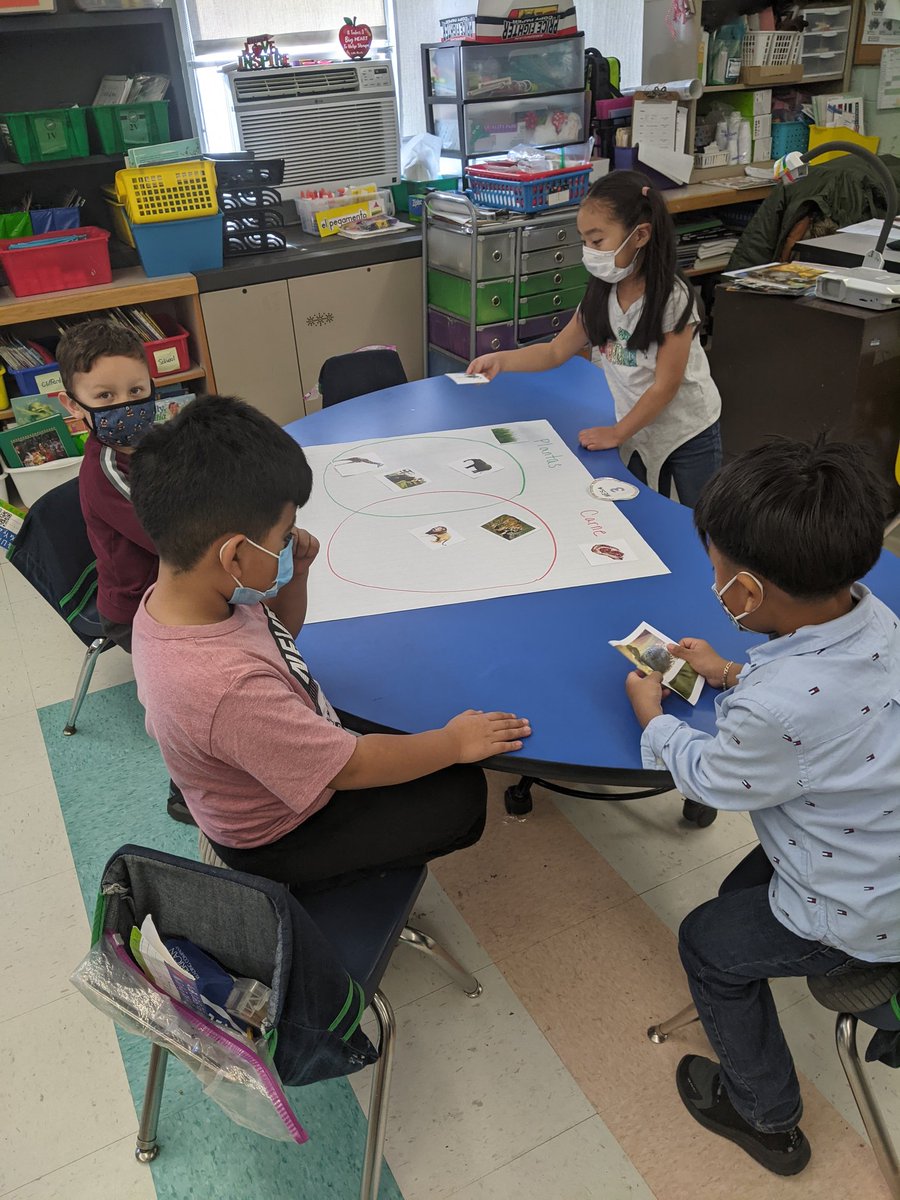 MrsTomer_Rm16's tweet photo. ¡La semana de mamíferos en zoología! Clasificando los mamíferos de acuerdo de lo que comen en el programa de idioma dual. Mammals week in zoology! Sorting mammals according to what they eat in dual language 🌿🥩 #phwaves @PhillipsAveElem @MsJacobs_Rm_15 @AmericanReading https://t.co/C3Moi5jtqC