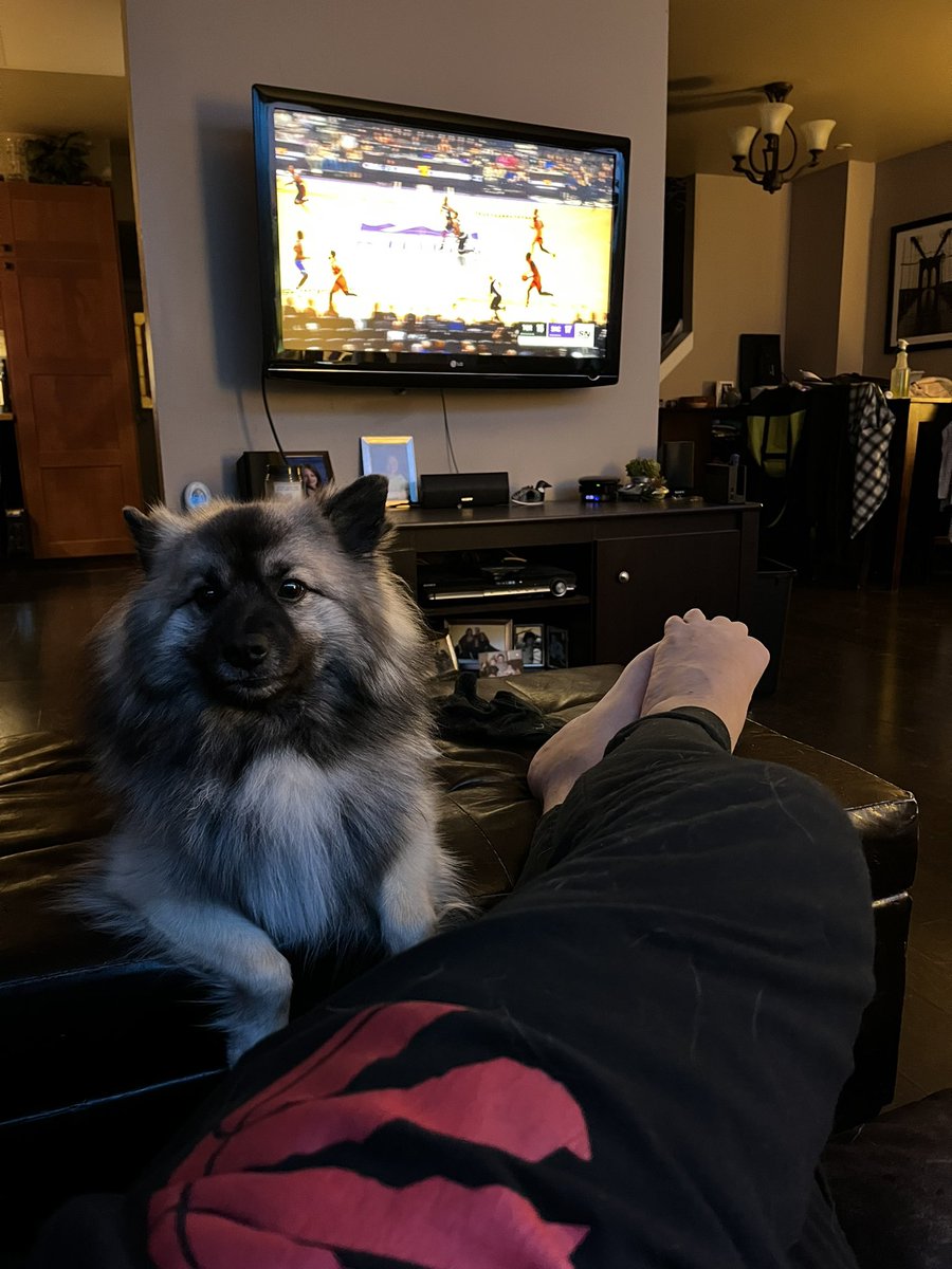jsquareddaddy's tweet photo. Just us and Teamo the super raptors fan watching the game!!! #loveyoujack #tangerinefanangle https://t.co/pINcSi6aWK