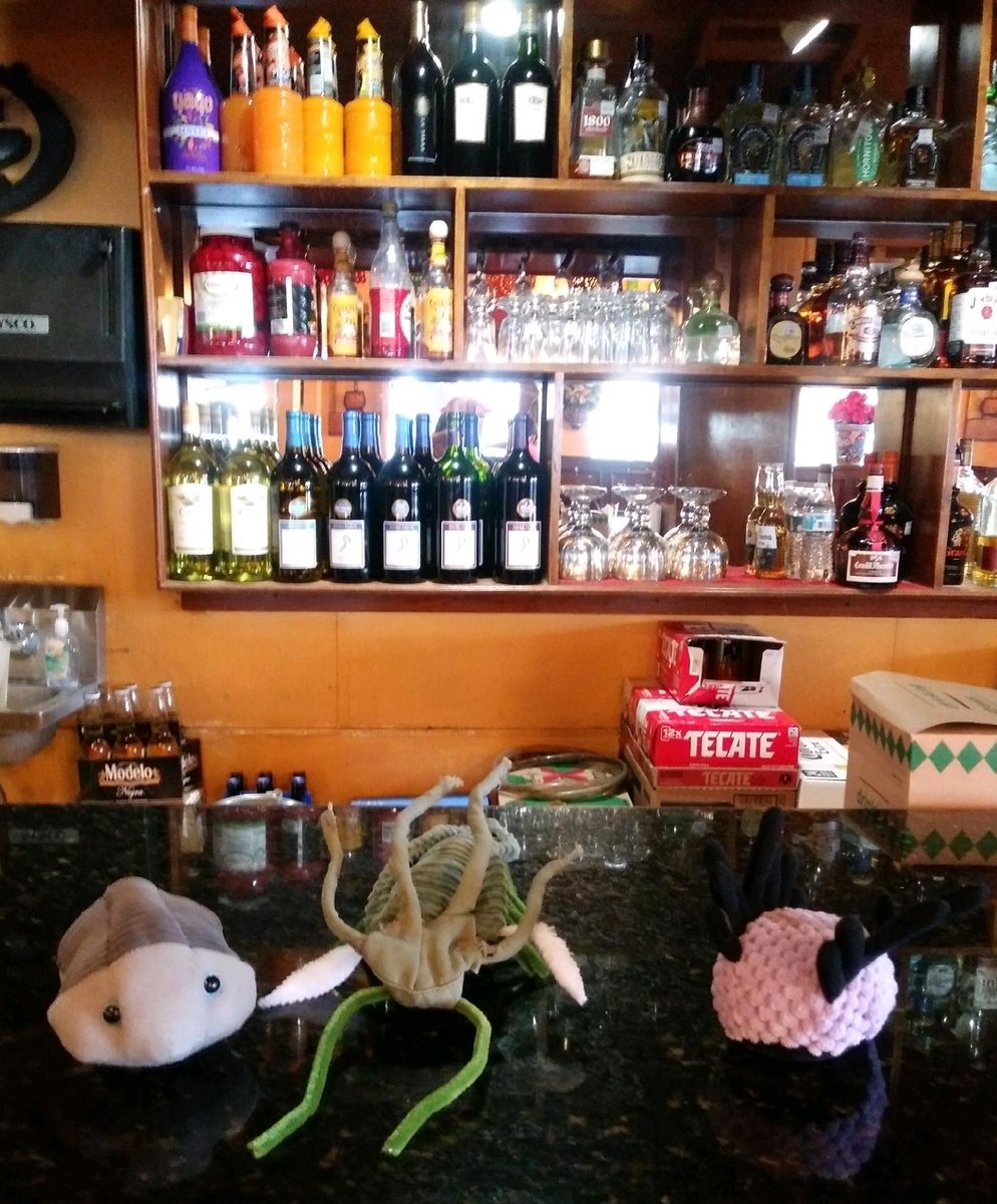 JohnRMoffitt's tweet photo. A trilobite, a marrella and a wiwaxi all walk into a bar.
The bartender says ...
-----
A joke in need of a punchline. A trilobite award can be negotiated for the best punchline or punchlines. Crank up your creativity!
#MiddleCambrian
#BurgessShale
#FossilFriday
#thread https://t.co/eZtir1ZvrA