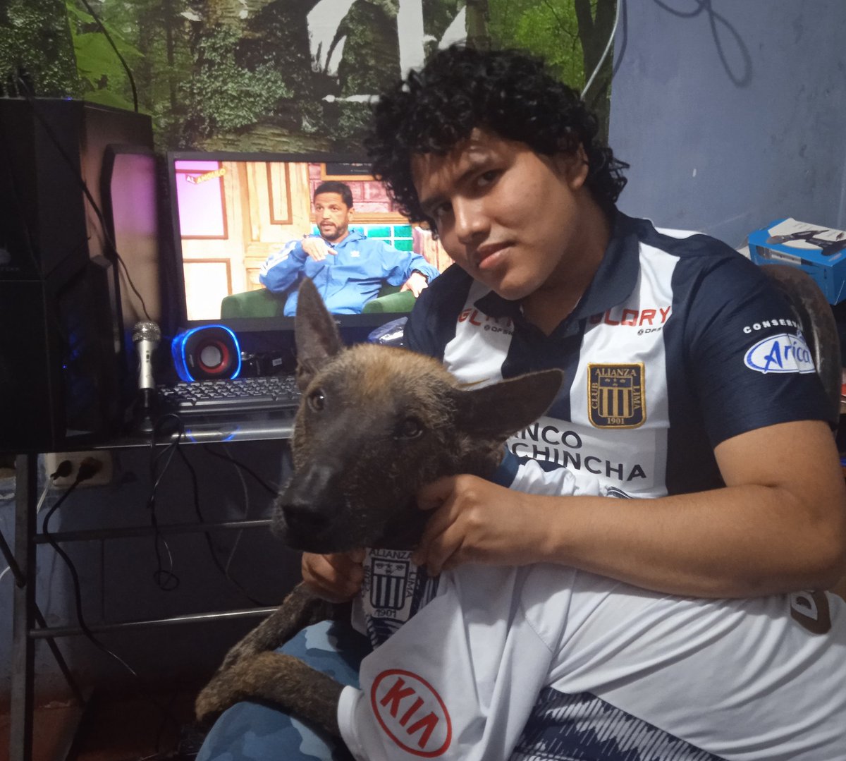DiegoRenatoRam1's tweet photo. #LaFinalEnAlAngulo
@PedroEloyG @FrancoCabreraFC @Jose_Chavarri @MSUCCAR @MovistarDeporPe 
Arriba Alianza Lima TODA LA VIDA 
quiero mi entrada para ir con mi viejito al estadio https://t.co/i3oKTfzbep