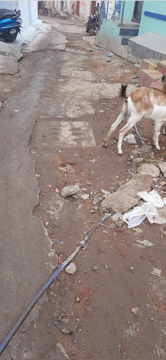 S.M Hussain tweet media