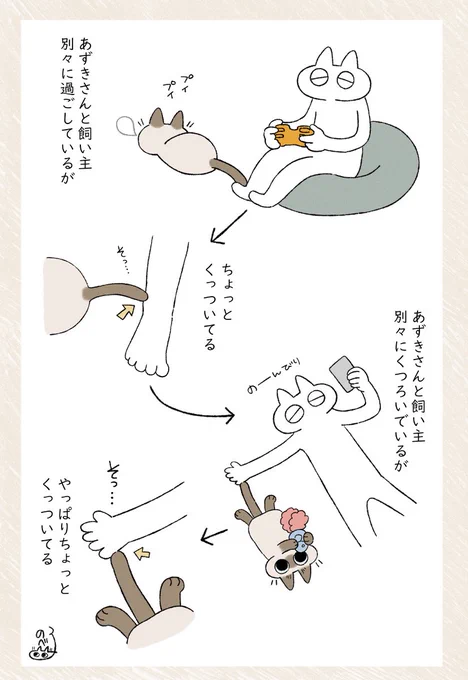 そっ… #シャム猫あずきさんは世界の中心 